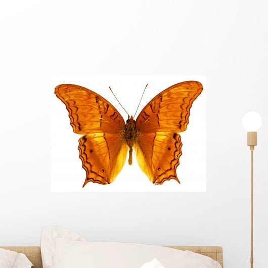 Colorful Exotic Butterfly Wall Decal