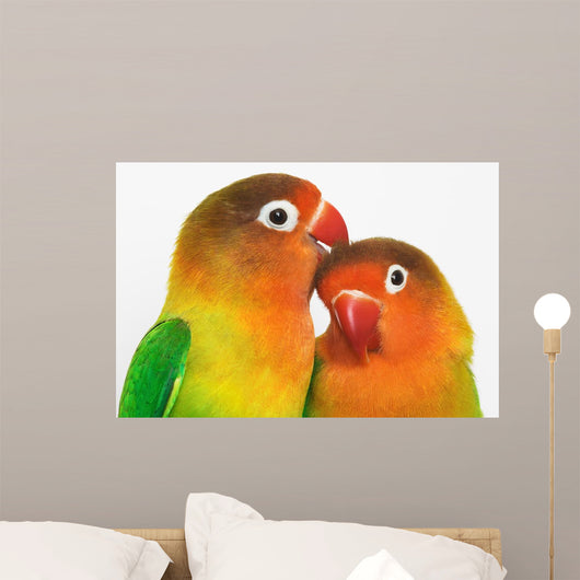 Lovebirds Wall Mural