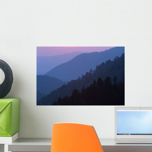 Tennessee Of America Wall Mural