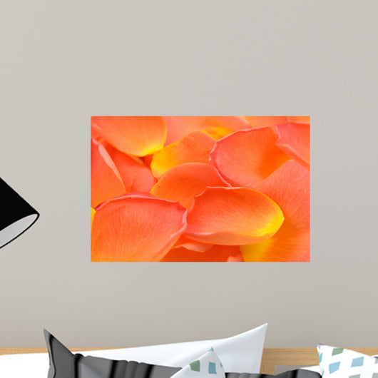 Rose Leaves over White