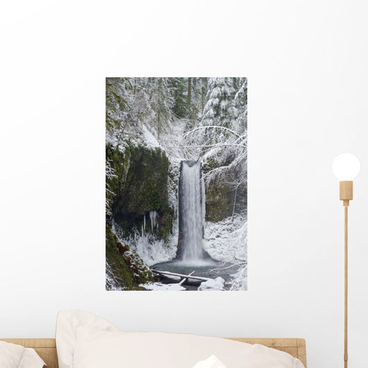 Oregon Of America Wall Mural