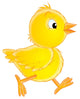Yellow Chicken Wall Decal