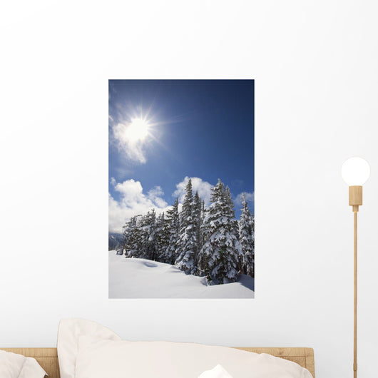 Timberline, Oregon Cascades Of America Wall Mural