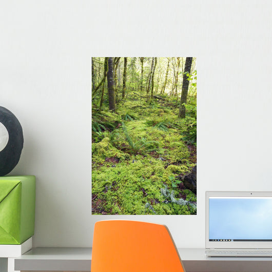 Green Foliage On The Forest Floor Wall Mural