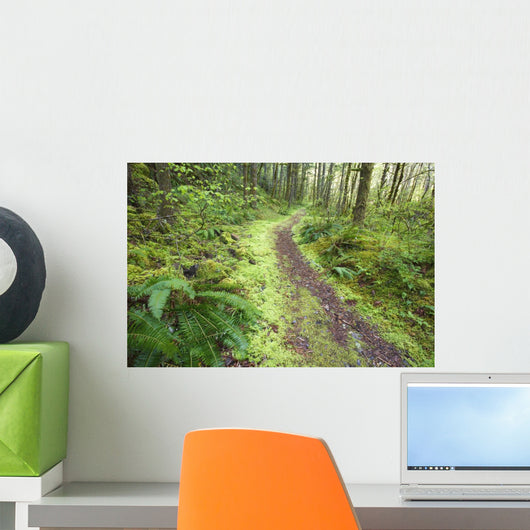 A Trail Leading Through The Forest Wall Mural
