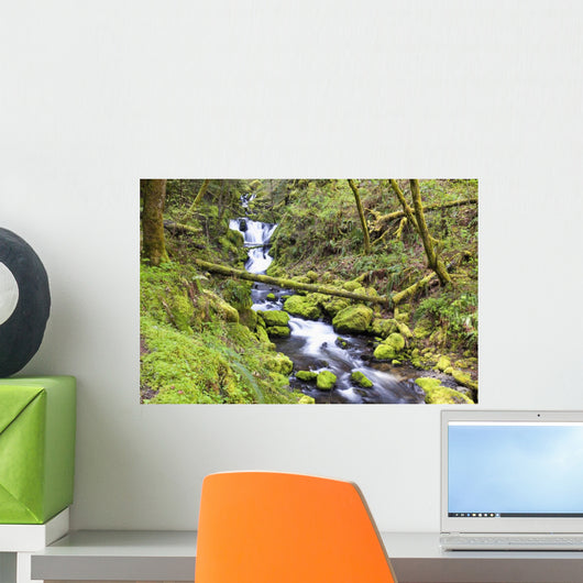 A Stream Flowing Through The Forest Wall Mural