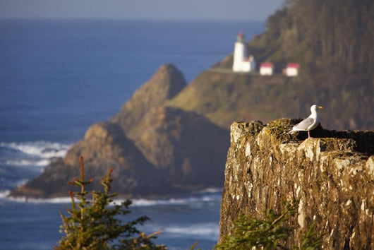 Oregon Of America Wall Mural