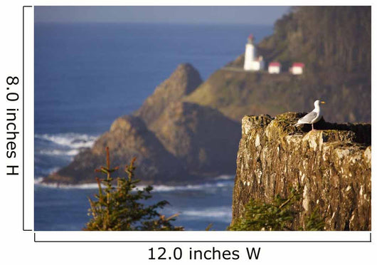 Oregon Of America Wall Mural