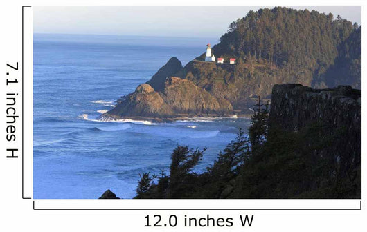 Oregon Of America Wall Mural