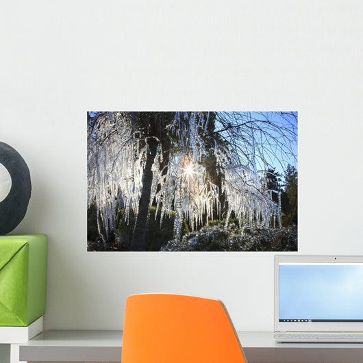 Icicles Hanging From Tree Branches Wall Mural