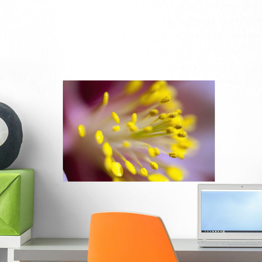 The Stamen Of A Flower Wall Mural