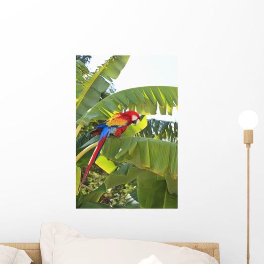Roatan, Bay Islands, Honduras Wall Mural