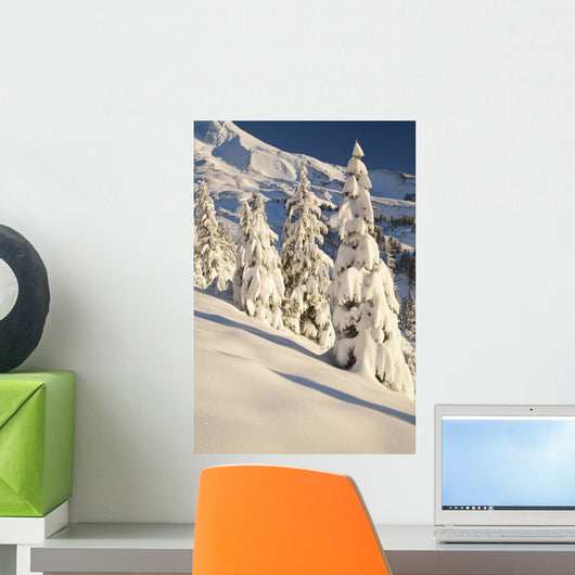 Oregon Of America Wall Mural