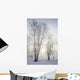 Ontario, Canada Wall Mural