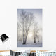 Ontario, Canada Wall Mural