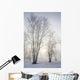 Ontario, Canada Wall Mural