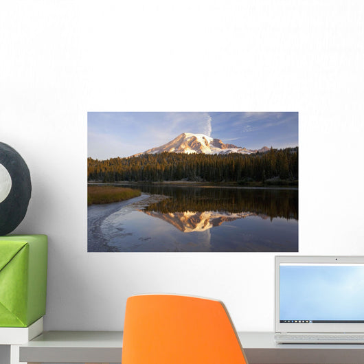 Washington Of America Wall Mural
