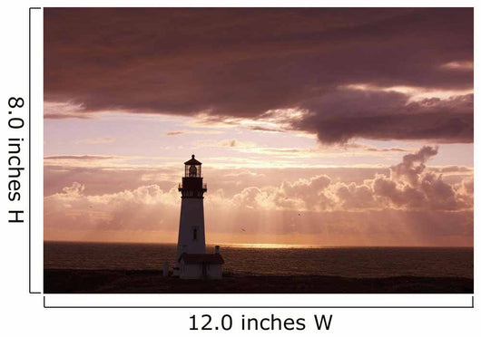 Oregon Of America Wall Mural