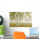 Birch Trees In The Fog Wall Mural