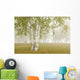 Birch Trees In The Fog Wall Mural
