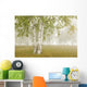 Birch Trees In The Fog Wall Mural