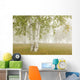 Birch Trees In The Fog Wall Mural