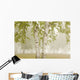 Birch Trees In The Fog Wall Mural