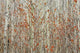 Spring Buds Against Birch Trees Wall Mural
