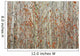 Spring Buds Against Birch Trees Wall Mural