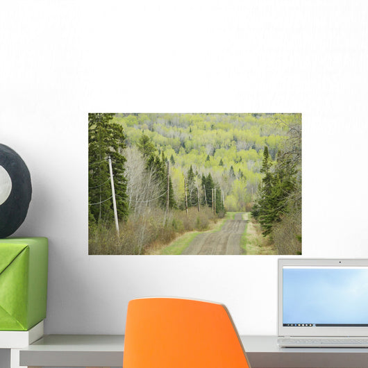 Electricity Wires Running Along A Country Road Wall Mural