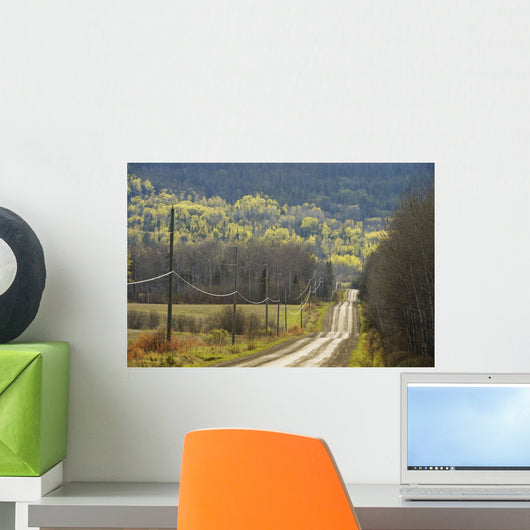 A Country Road With Electrical Wires Running Along It Wall Mural