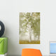 Birch Trees In The Fog Wall Mural