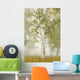 Birch Trees In The Fog Wall Mural