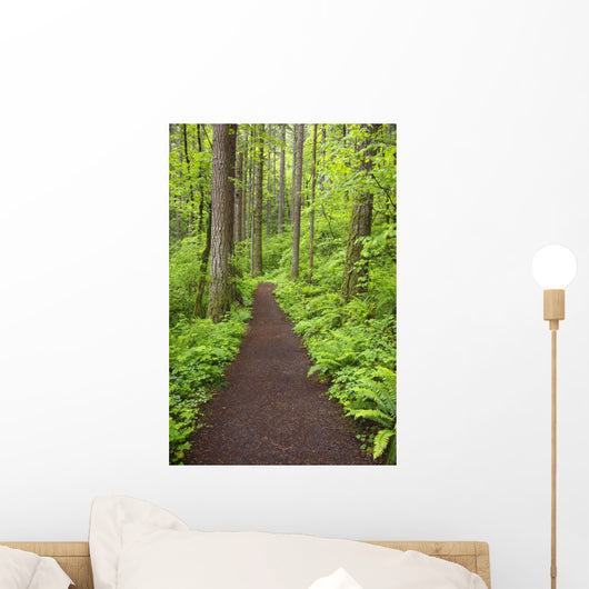 A Trail In Columbia River Gorge National Scenic Area Wall Mural