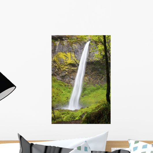 Elowah Falls In Columbia River Gorge National Scenic Area Wall Mural