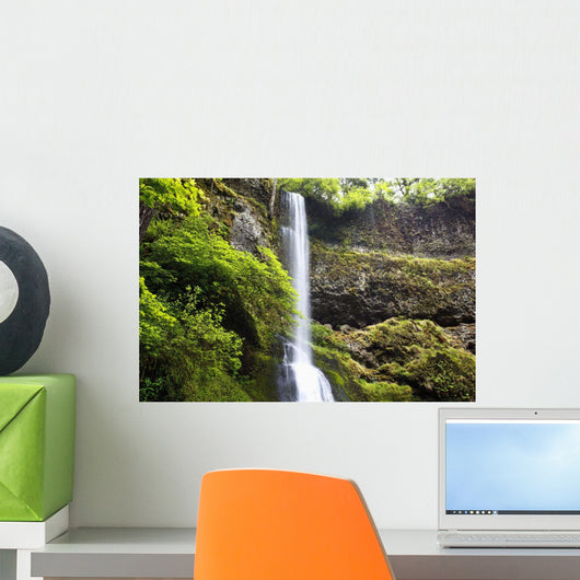 Winter Falls In Silver Falls State Park Wall Mural