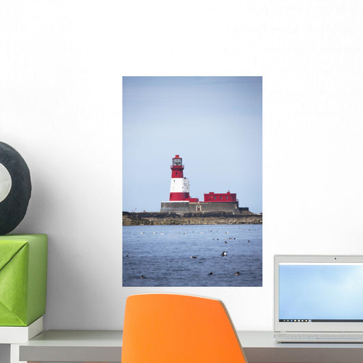 Longstone Lighthouse And Guillemot In The Water Wall Mural
