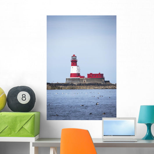 Longstone Lighthouse And Guillemot In The Water Wall Mural