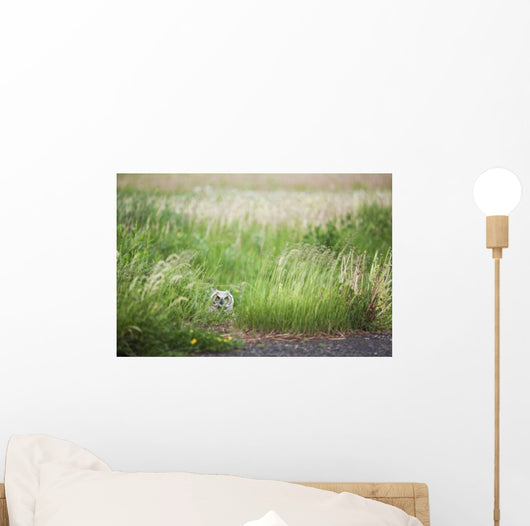 Owl In The Grass Wall Mural