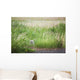Owl In The Grass Wall Mural