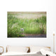 Owl In The Grass Wall Mural
