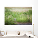 Owl In The Grass Wall Mural