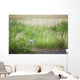 Owl In The Grass Wall Mural