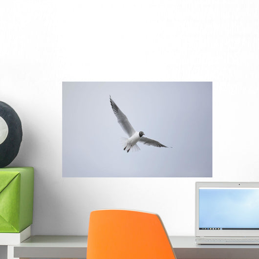 A Bird In Flight Wall Mural