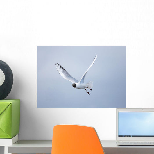 A Bird In Flight Wall Mural