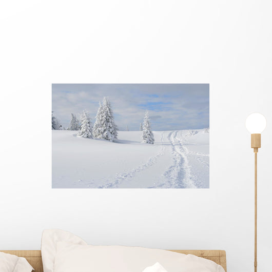 Winter landscape Wall Mural