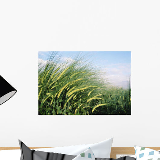 Wheat Fields In England Close-Up Wall Mural