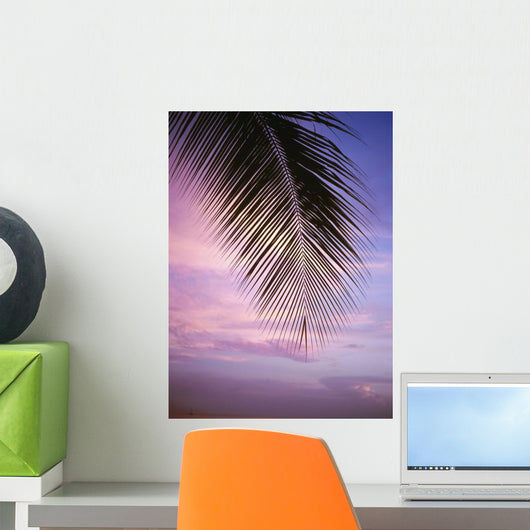 Palm Tree Branch At Sunset, Close Up Wall Mural