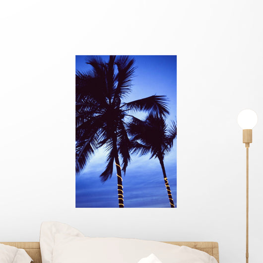 Palm Trees Decorated With Christmas Lights Wall Mural