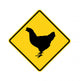 Road Sign Chicken Crossing Wall Mural